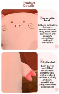 Detail of pink plush pig toy showing smooth fabric, embroidery and zipper closure