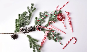 Flat lay of red and green candy canes, lollipops and pine cones for Christmas tree decor