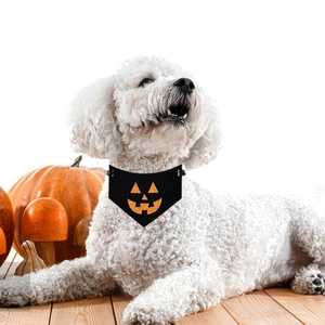 Detail of white puppy wearing a black Halloween pet bandana with orange pumpkin prints