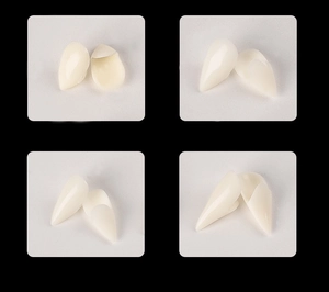 Detail view of vampire fangs props in four sizes: 13mm, 15mm, 17mm, and 19mm for Halloween