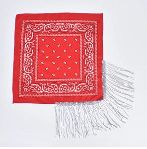 Detail of red paisley bandana featuring shiny silver fringe and classic cashew patterns