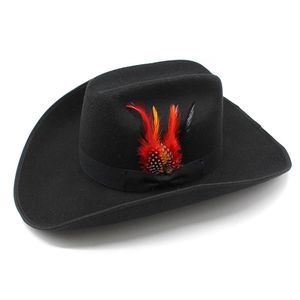 Detail of black wool cowboy hat featuring a satin band and colorful decorative feathers