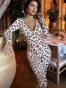 Women Hooded Zip Up Top And High Waist Skinny Long Pants Leopard Print Sexy Streetwear Trendy Outfits