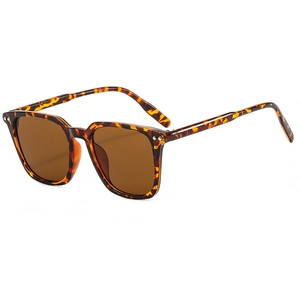 Classic square tortoise shell sunglasses with brown lenses and silver rivets detail