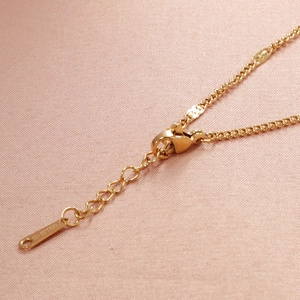Macro detail of gold lobster clasp and S.STEEL tag on stainless steel curb chain