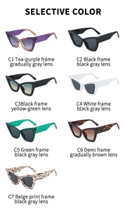 Detailed color palette showing seven different frame and lens options for cat eye sunglasses