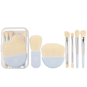 Portable 6-piece makeup brush set with soft bristles and blue handles in a clear case