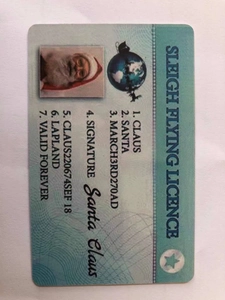 Detailed view of a blue Santa Claus Sleigh Flying Licence card for Christmas gifts