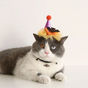 Cat Halloween costume set with purple glitter witch hat and black velvet bat collar