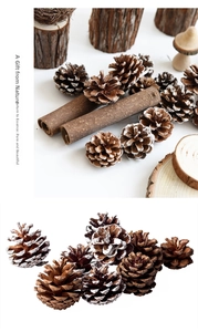 Macro shot of natural pine cones and cinnamon sticks for rustic DIY Christmas decor