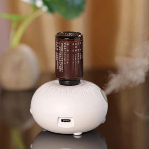 Portable white waterless essential oil diffuser with Type-C charging and mist display