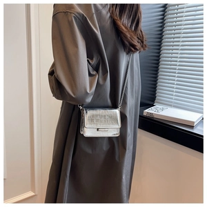 Silver crocodile embossed mini chain bag worn by model showing metallic texture