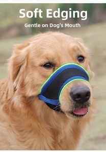 Detail view of breathable black mesh dog muzzle with soft blue edging on a Golden Retriever