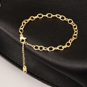 Elegante Bracciale In Acciaio Al Titanio Placcato Oro 18K Catena A Maglia Ovale Minimalista Per Donna Gioielli Regolabili