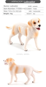 Detailed Labrador dog model toy showing realistic dimensions 7.4x2x4.8cm and ivory finish