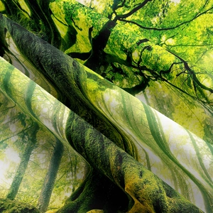 Detailed close-up showing the high-quality fabric texture and forest print on the tapestry