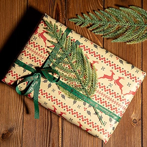 Scatola regalo di Natale con motivo di renne, nastro di seta verde e aghi di pino artificiali