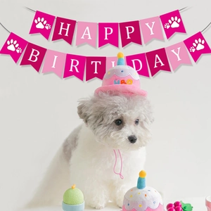 Pink Happy Birthday banner and plush cake hat set shown on a cute grey poodle dog