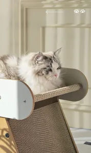 Dettaglio della cuccia 2-in-1 in legno per gatti con tiragraffi in sisal e cartone
