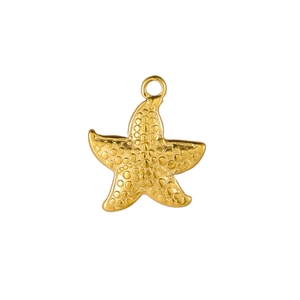 Detailed close-up of a golden starfish pendant featuring textured surface and top ring