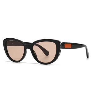 Retro cat-eye sunglasses with black frame, brown lenses and crystal stud details