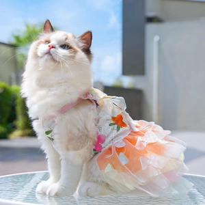 Detailed view of white lace pet dress with orange flowers and pink bow on a cat