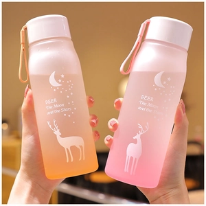High-capacity matte gradient plastic water bottle with handle for travel and students