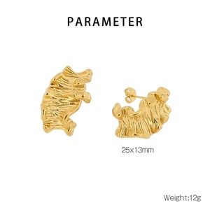Détail de boucles d'oreilles dorées irrégulières 25x13mm avec paramètres de taille