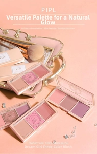 Close-up of three-color matte blush palette with professional pink gradient brush