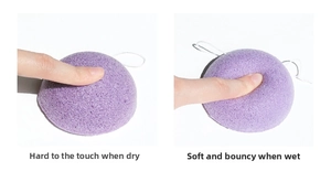 Macro detail of purple konjac sponge texture showing dry versus wet expansion states