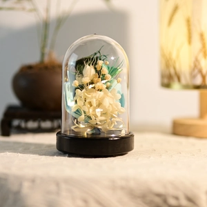 Preserved flowers in glass dome with LED lights, ideal for wedding or Valentine's gift