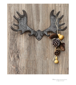 Close-up of vintage cast iron antler wall hook showing texture on rustic wood background