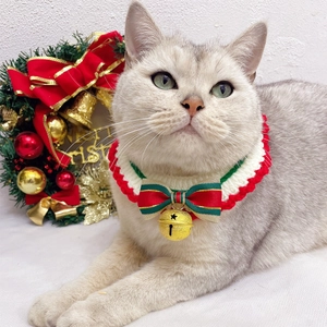 Detail of hand-knitted Christmas pet collar with a striped bow and golden bell
