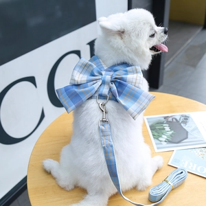 Close-up of blue plaid pet harness with a large bow on a white Pomeranian dog