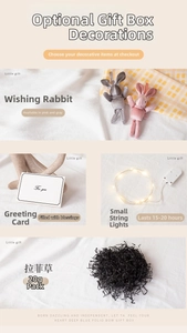 Detail of gift box accessories with plush rabbits, LED lights, card, and black raffia grass