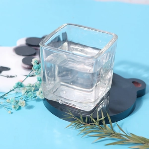 Vaso quadrato in vetro per idroponica su un sottobicchiere decorativo a orsetto