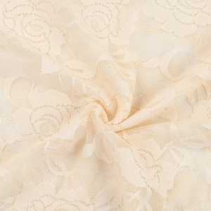 Detail of rose pattern lace fabric with sheer hollow mesh texture for dresses