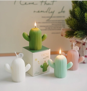Gros plan de bougies parfumées en forme de cactus dans un coffret cadeau élégant