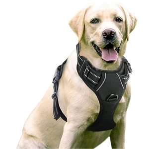 Reflective nylon dog harness for large dogs shown on a Labrador with metal D-ring
