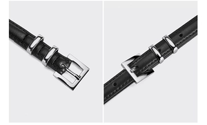 Close-up of black leather skinny belt with silver square metal pin buckle and dual loops
