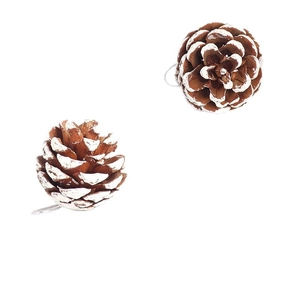 Natural pine cones with white frosted edges for Christmas tree decoration on white backdrop