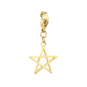 Golden stainless steel star pendant with lobster clasp shown on a white background