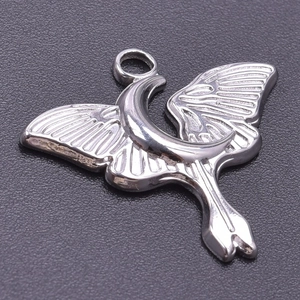 Macro shot of silver stainless steel butterfly and crescent moon pendant with rich textures