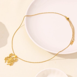 Detail view of a gold stainless steel spider pendant necklace with adjustable chain