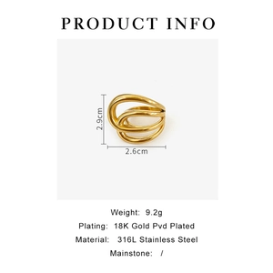Detail showing 18K gold PVD plated 316L stainless steel ring with 2.9cm height specs