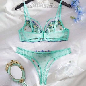 Mint green mesh lingerie set with floral embroidery and underwire bra on white silk background