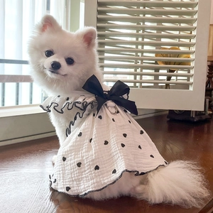 White pet dress with black heart print and bow detail on a white Pomeranian dog