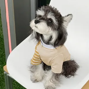 Stylish breathable color-block pet dog t-shirt for small and medium dogs on grass