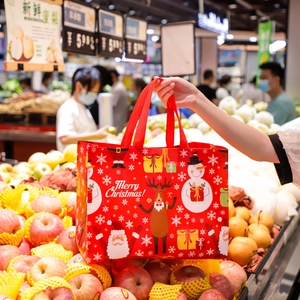 Close-up of a red Christmas gift bag with Santa and reindeer graphics held by a hand