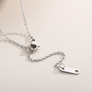Collier en acier inoxydable avec fermoir mousqueton et chaîne d'extension argentée